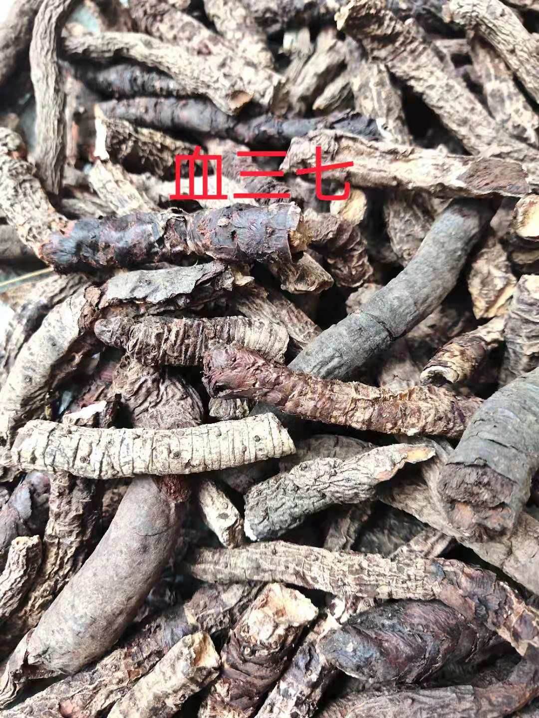 血三七的功效与作用