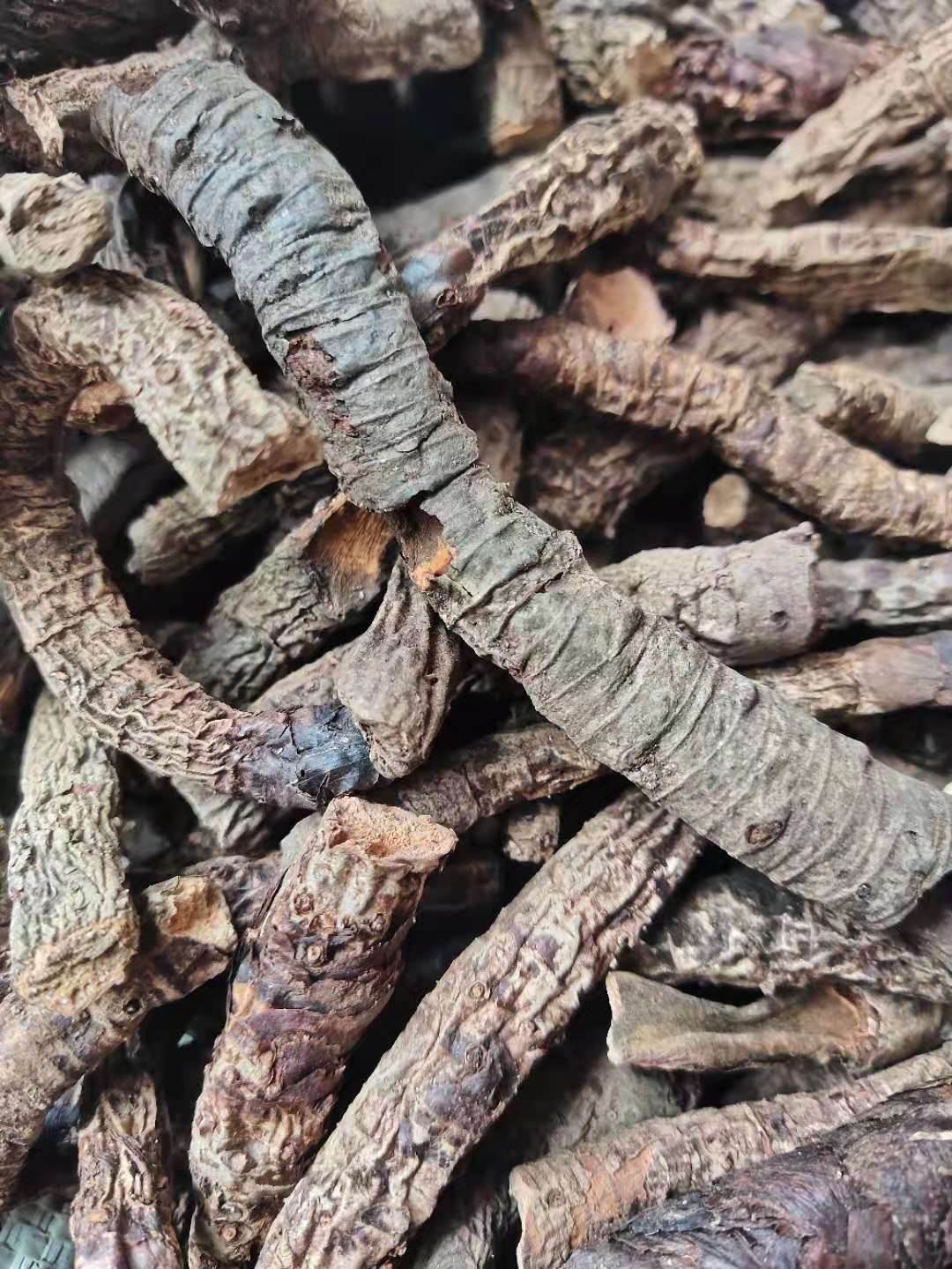 冷背药材供应血三七