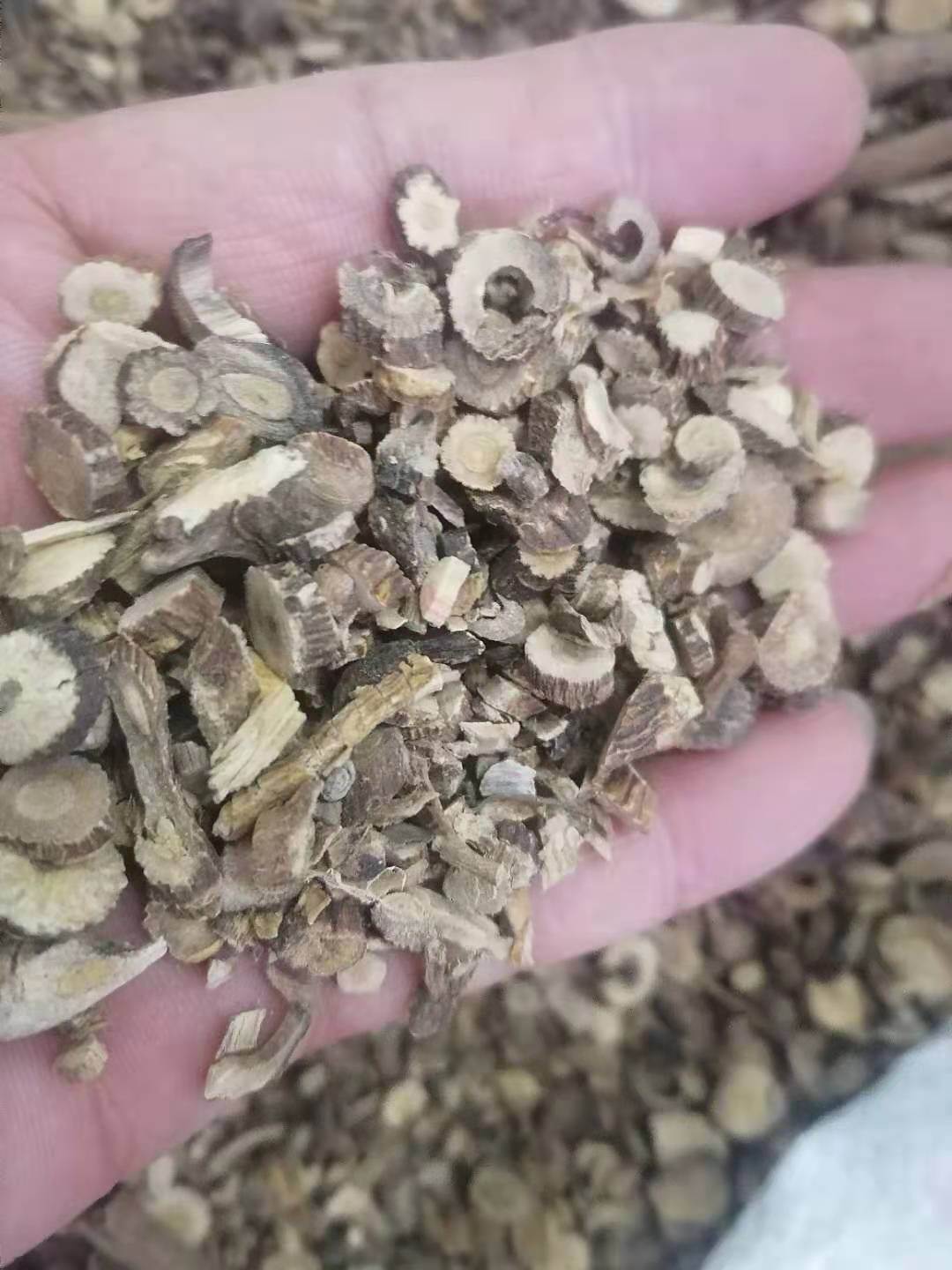 中药材批发追风箭.墓头回