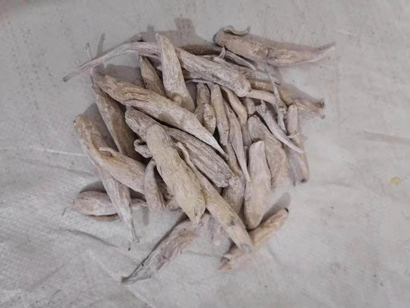 中药材批发追风箭.墓头回