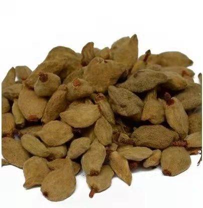 中药材批发三钱三