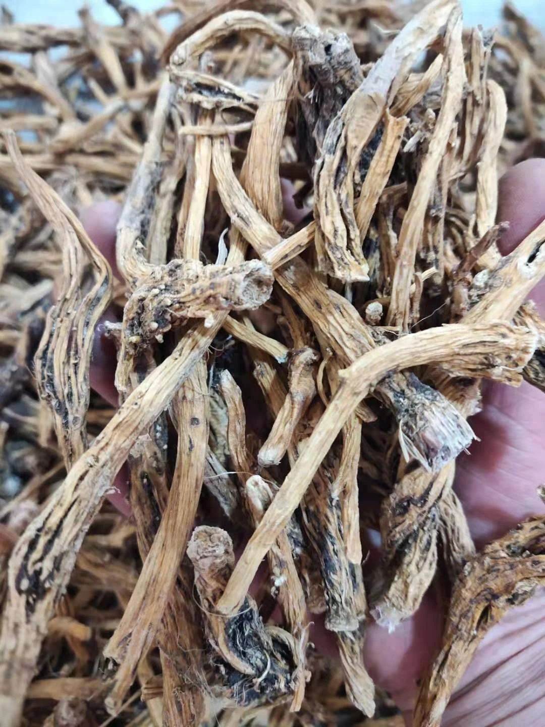 【中药名】秦艽 qinjiao联系方式