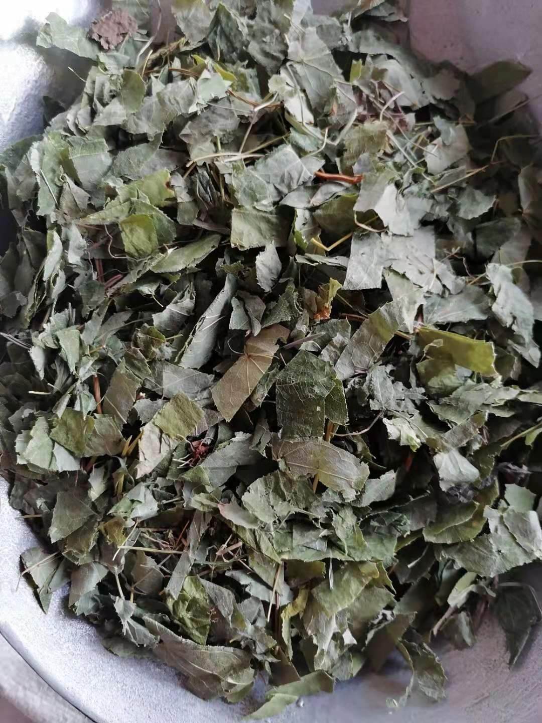 中药材批发淫羊藿.淫羊藿根