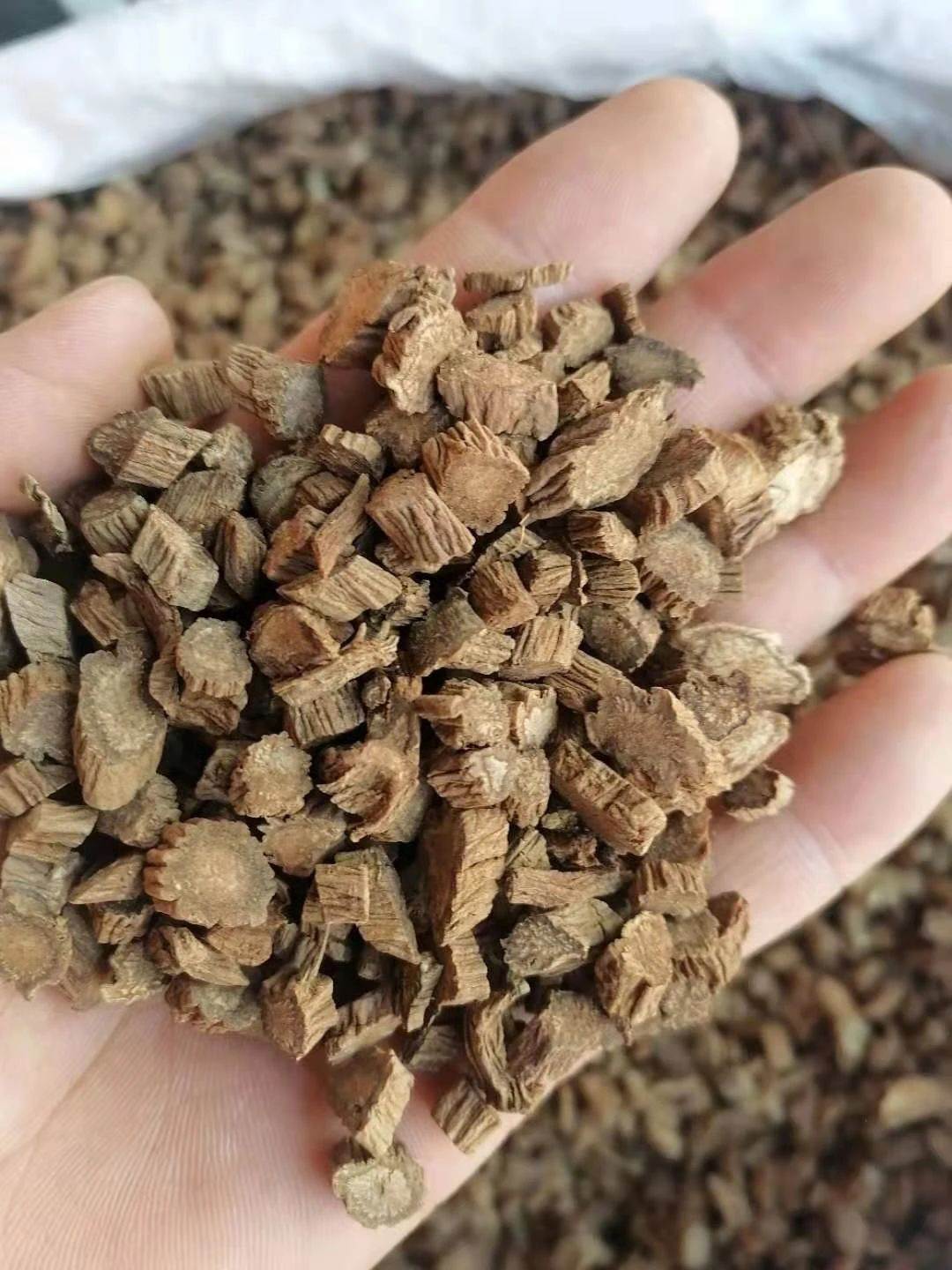 批发中药材六月寒