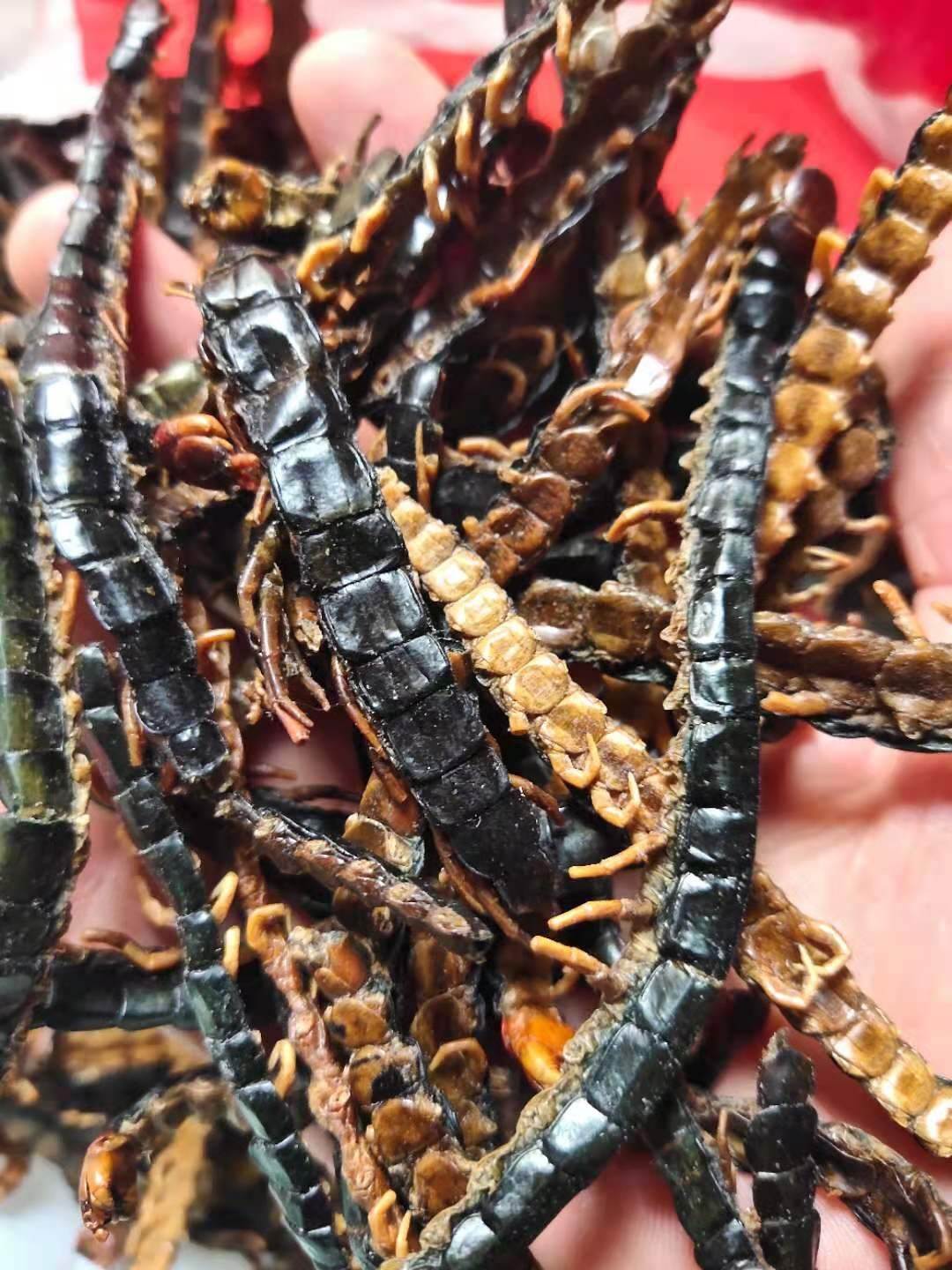 夜烟的功效 野烟的价格