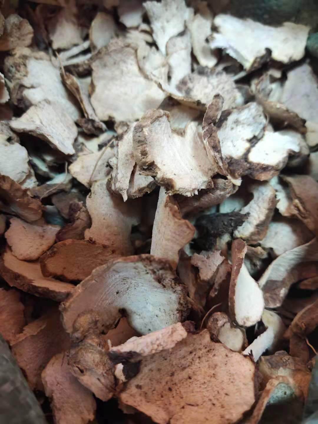 中药材萆薢的药用价值