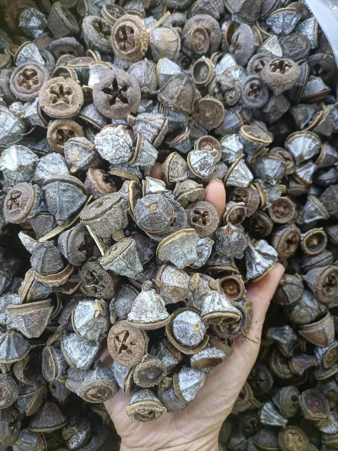 中药材供应虫白蜡