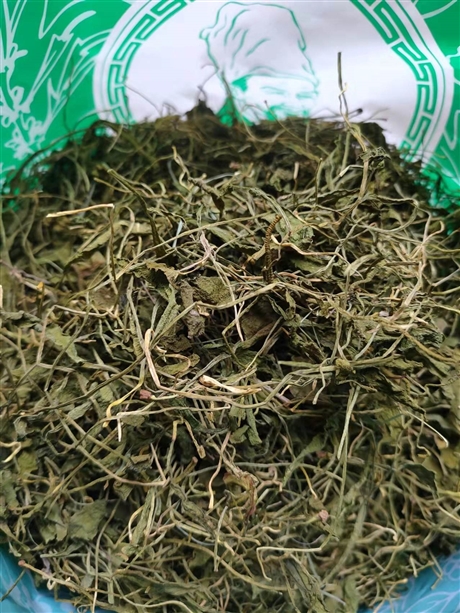 一支箭  青藤   蛇咬子