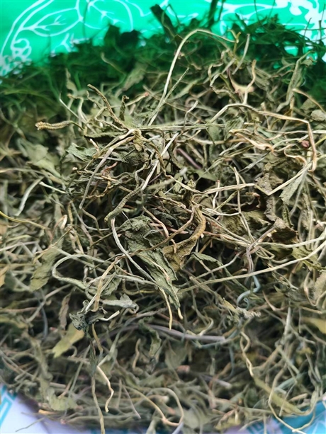 亳州药材一支箭