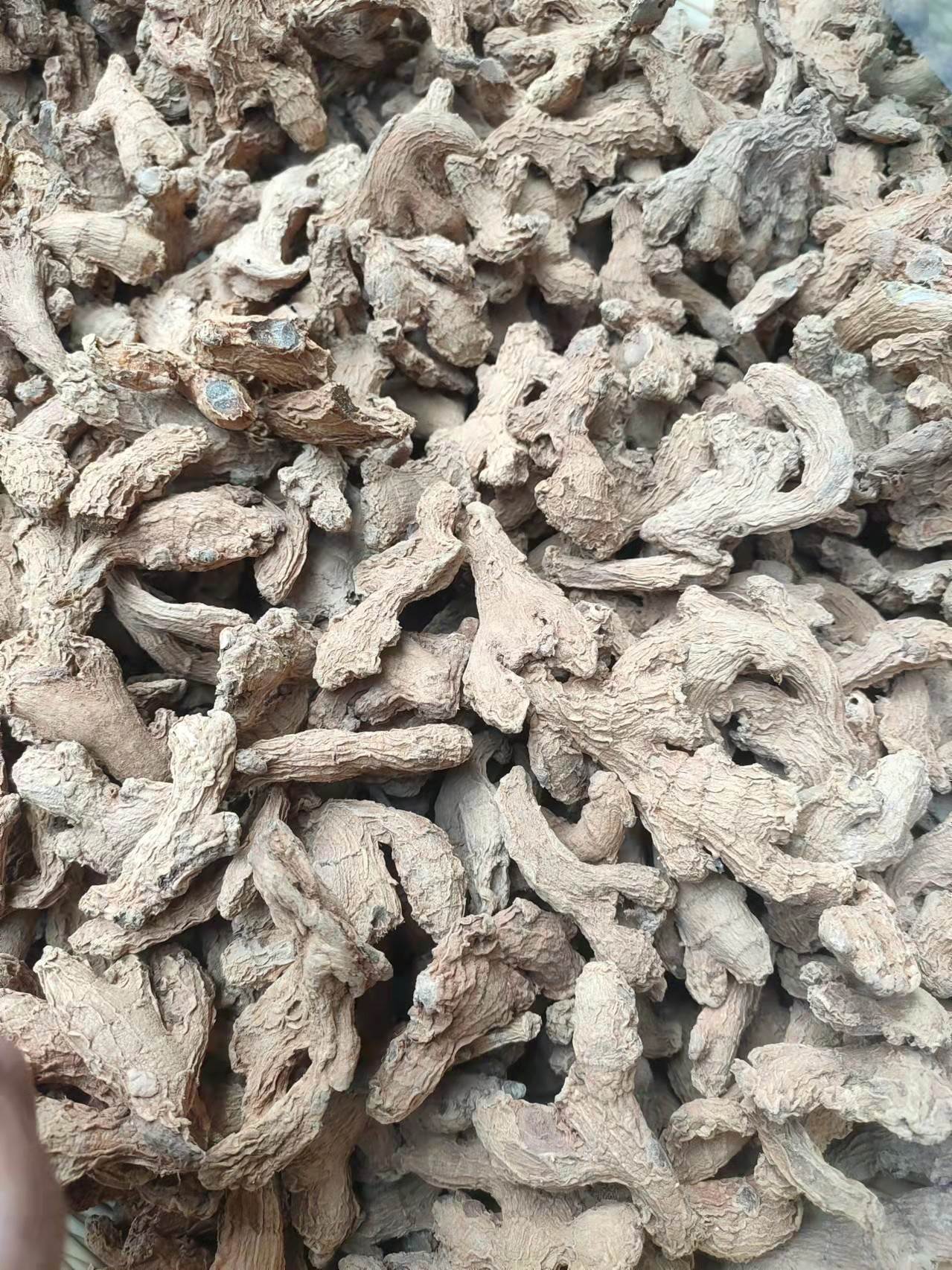 中药材筠姜图片