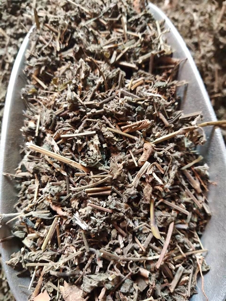 中药材羊红膻批发