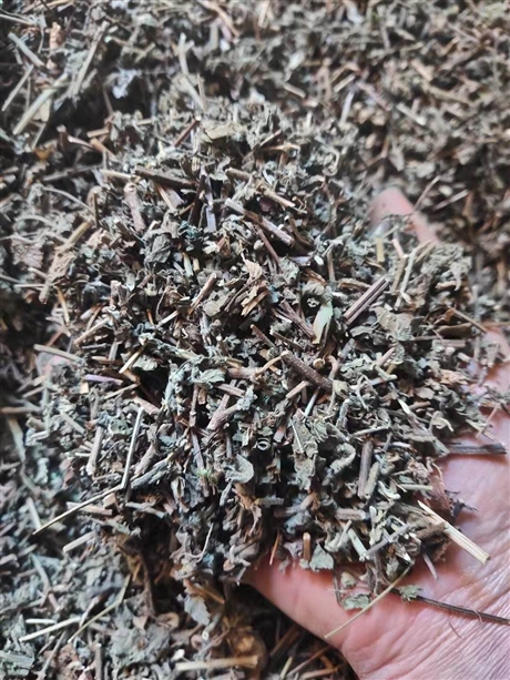 羊红膻批发价格