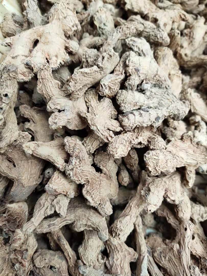 中药材批发黄荆子