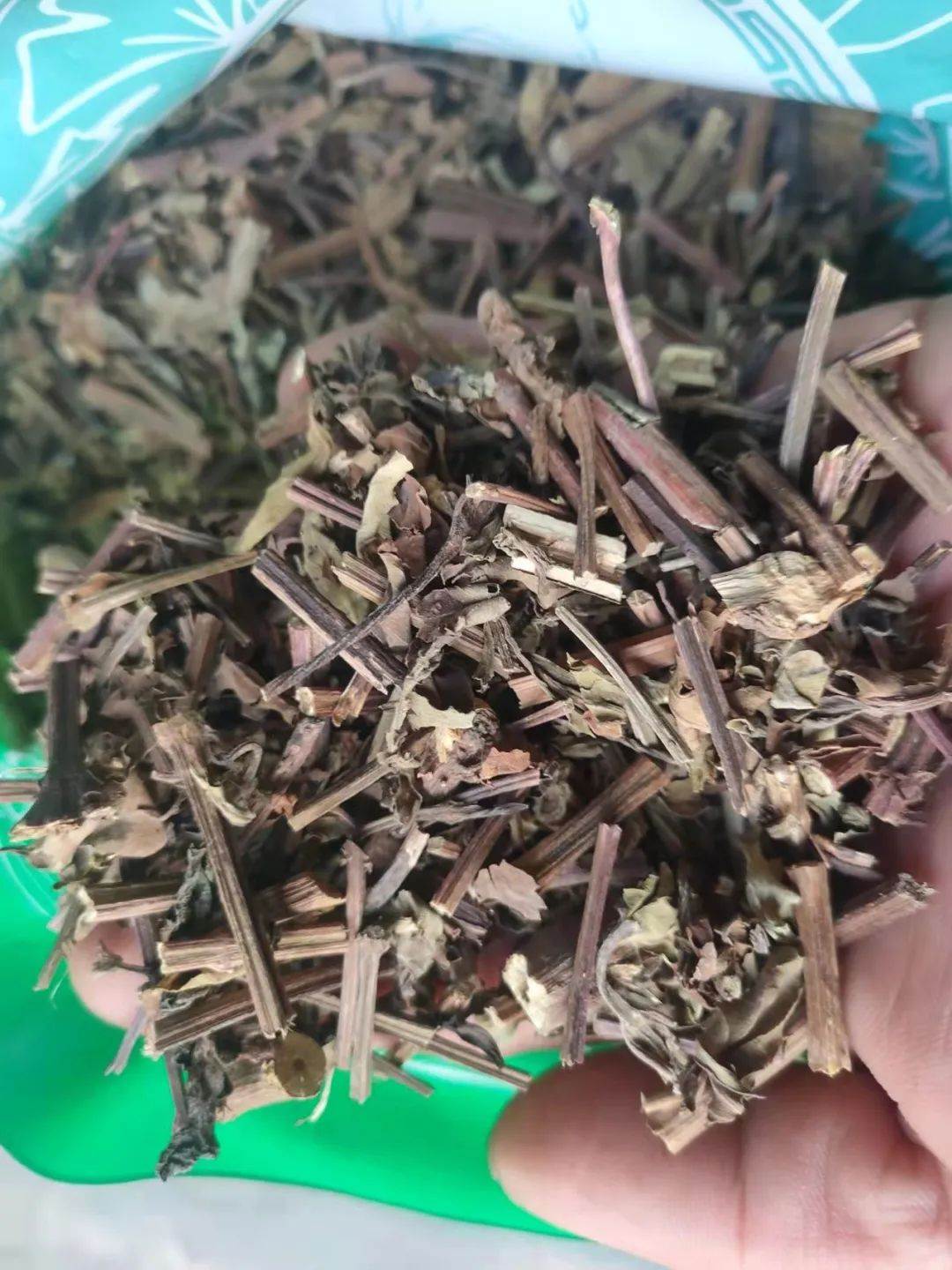 中药材猫须草价格猫须草产地