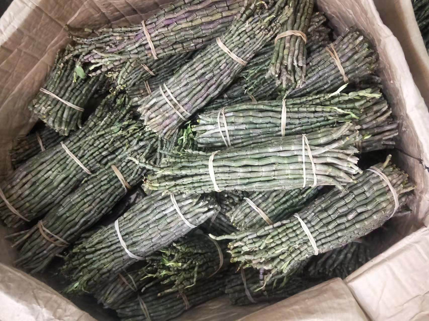 批发中药材六月寒