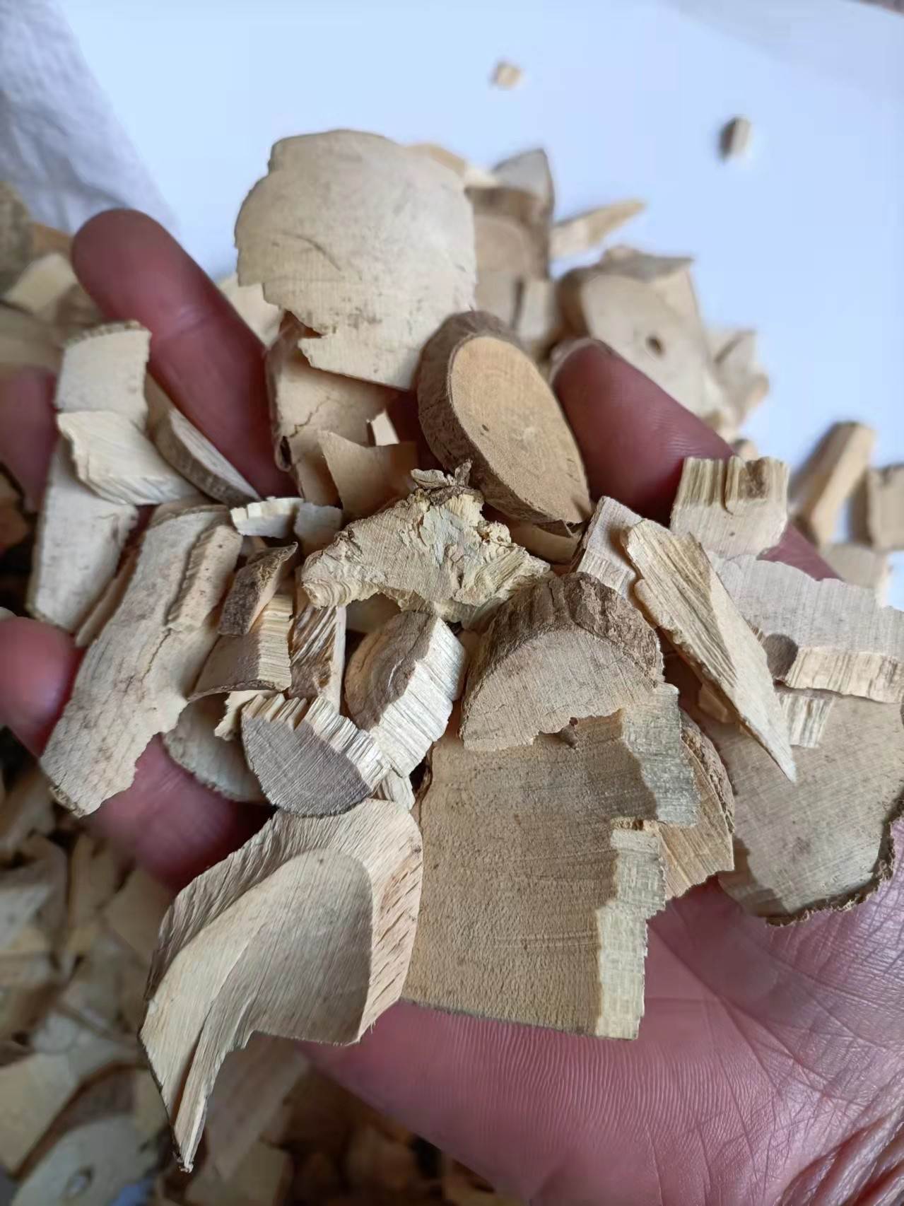 冷背药材倒吊笔供应