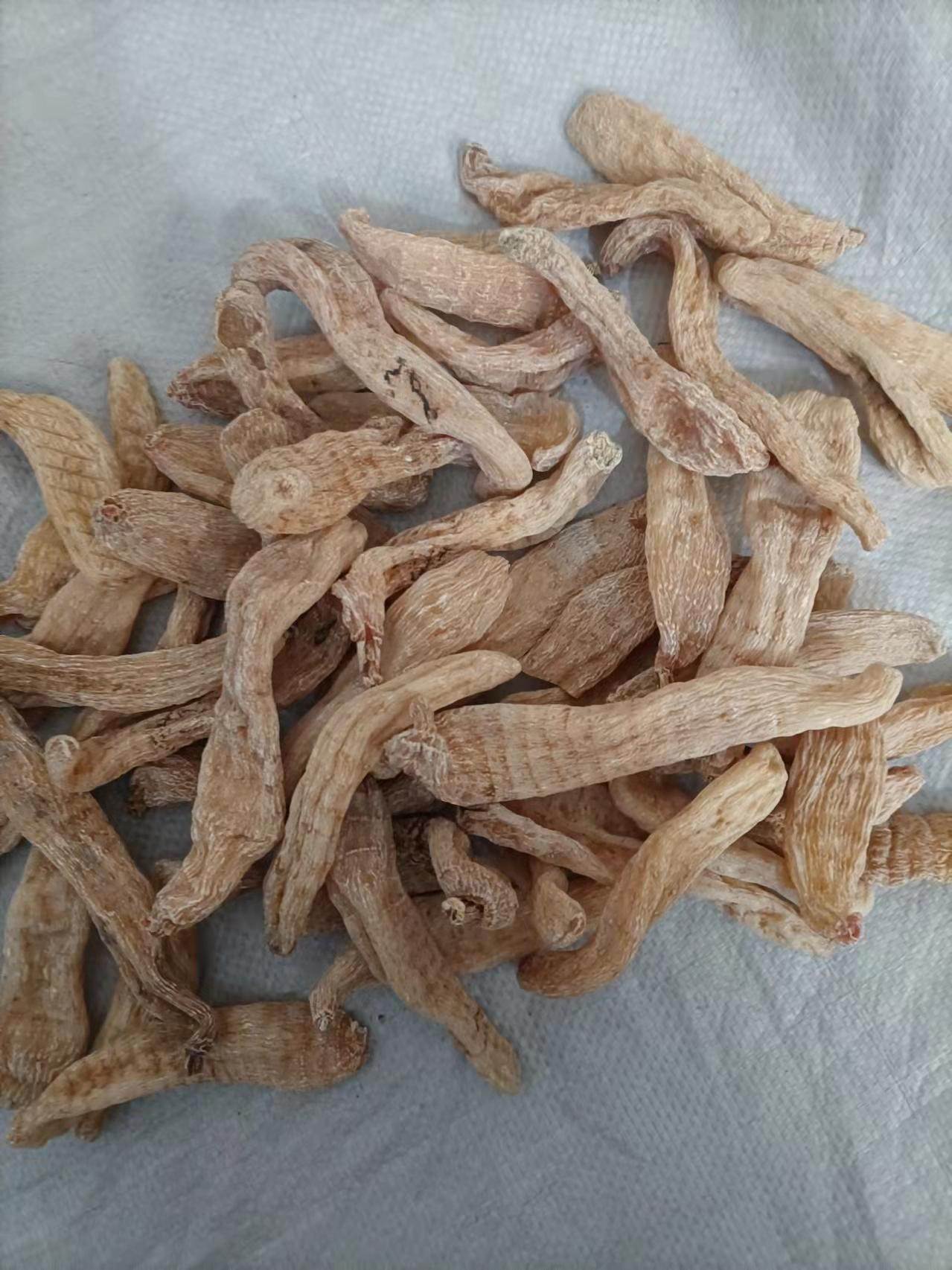 中药材批发白背叶根