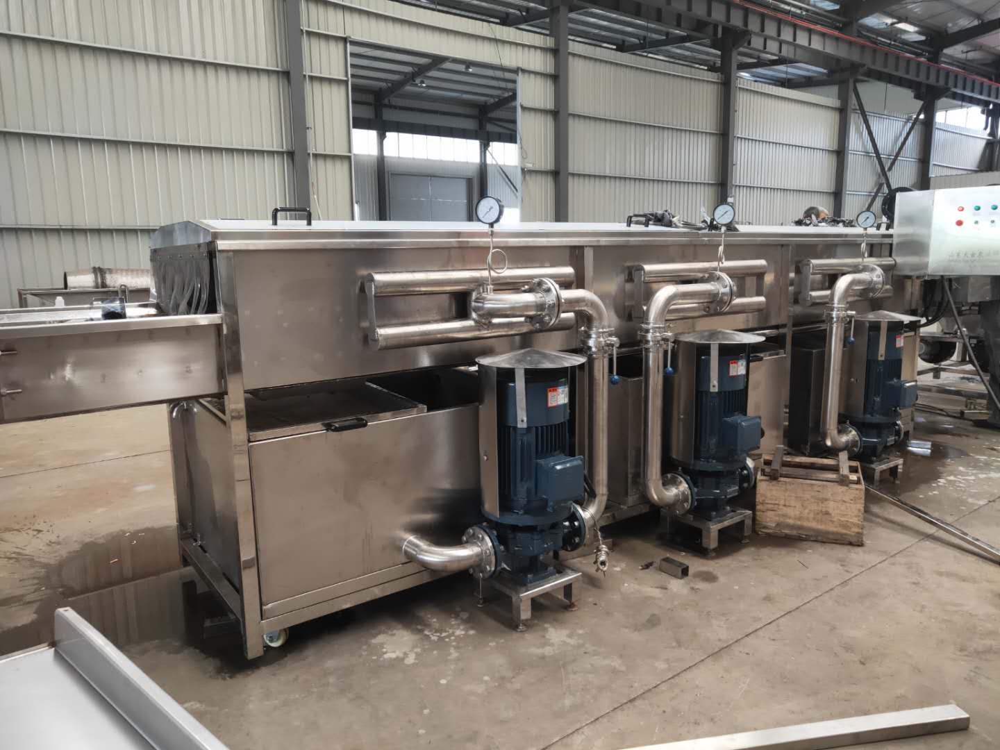 新型大姜清洗机