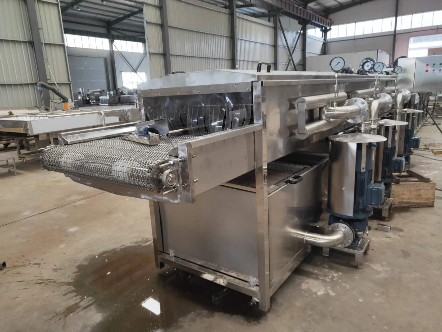 大姜清洗机 大姜清洗流水线 生姜清洗机 放心机械