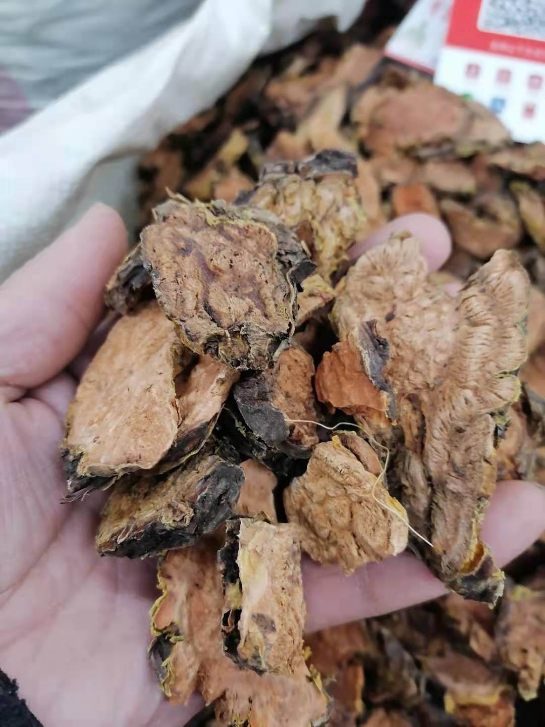中药材批发九节风