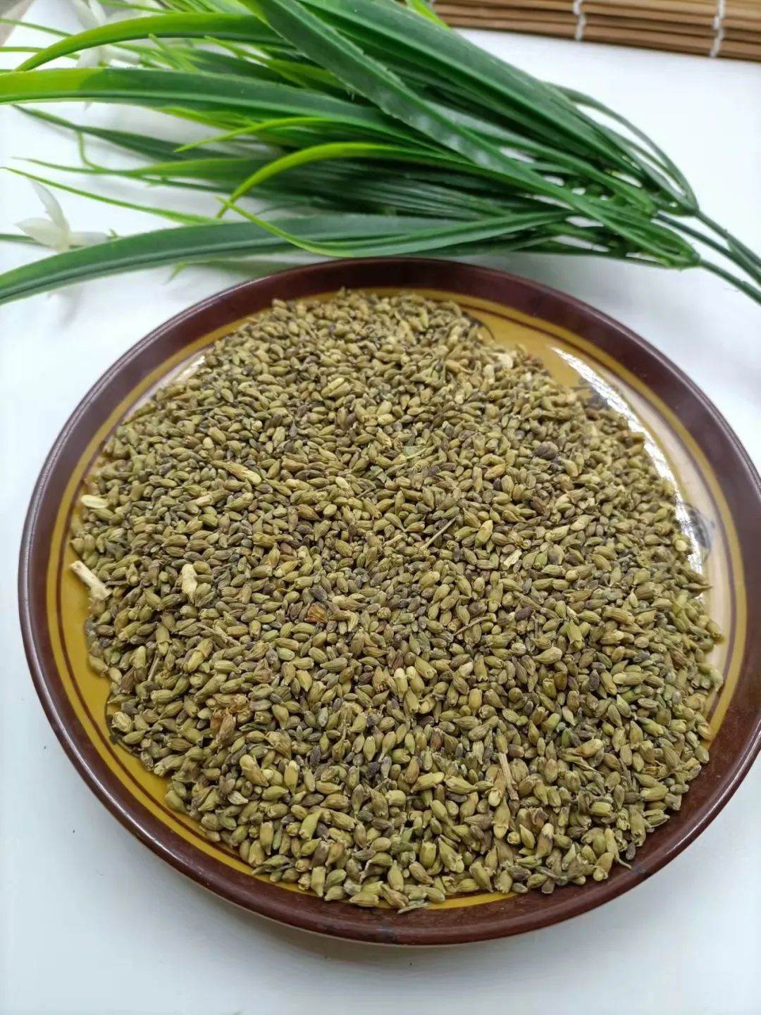 搜了网为您找到1条留兰香种子的相关品牌信息