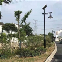 LED太阳能庭院灯 3米小区花园景观灯 超亮户外照明庭院灯