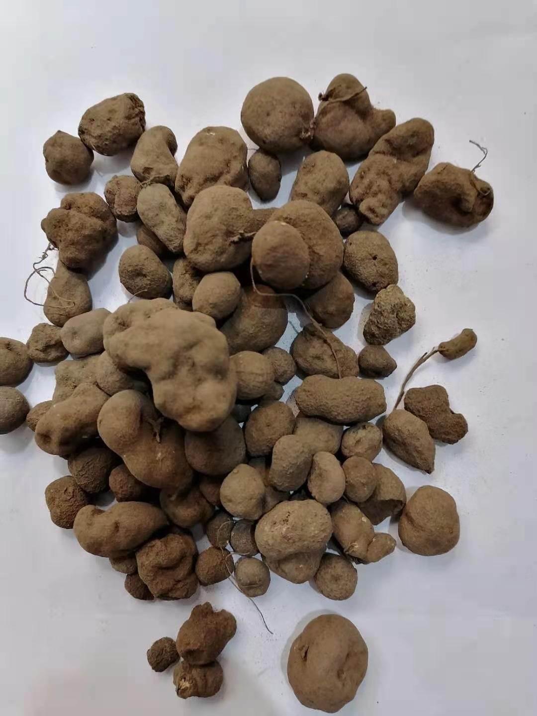 中药材批发华佗豆