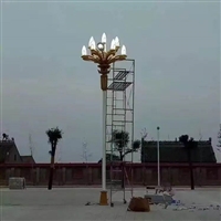 LED中华灯 户外防水景观灯 市政道路新农村 休闲广场异型LED路灯