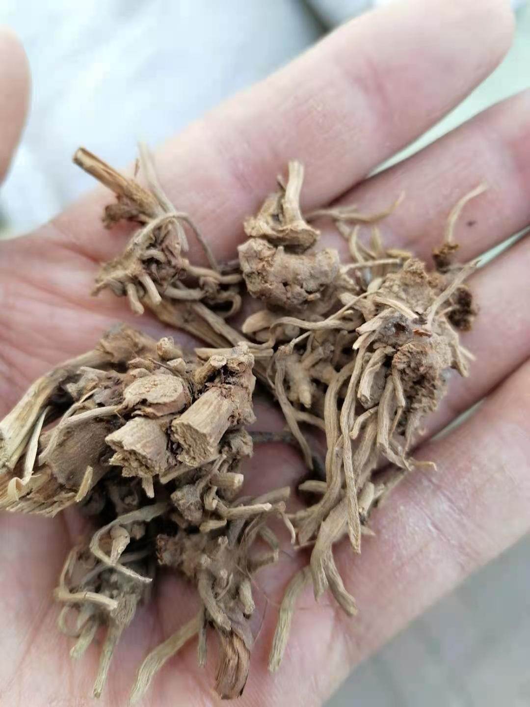 批发中药材古羊藤