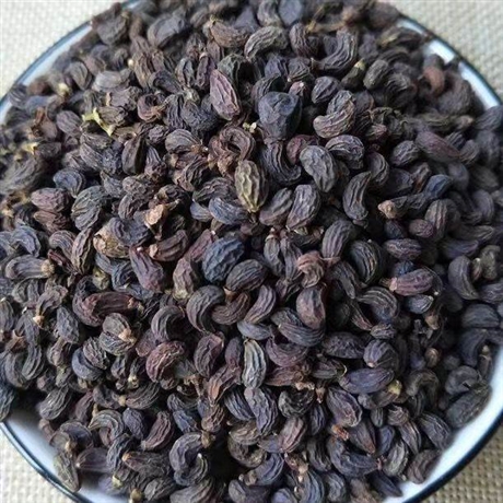 中药材批发千金子千金子的价格