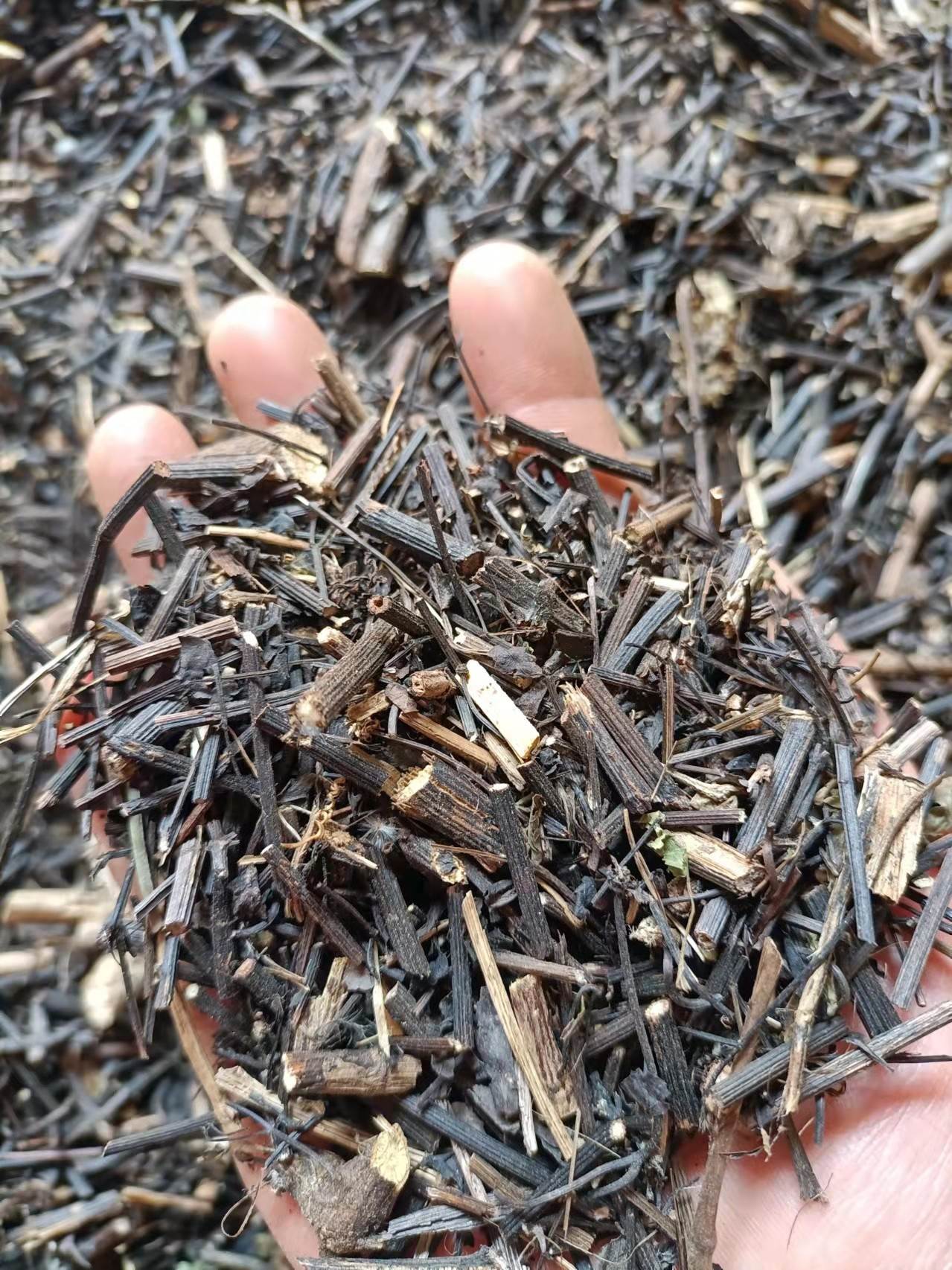 供应中药材铁线莲铁线莲的功效