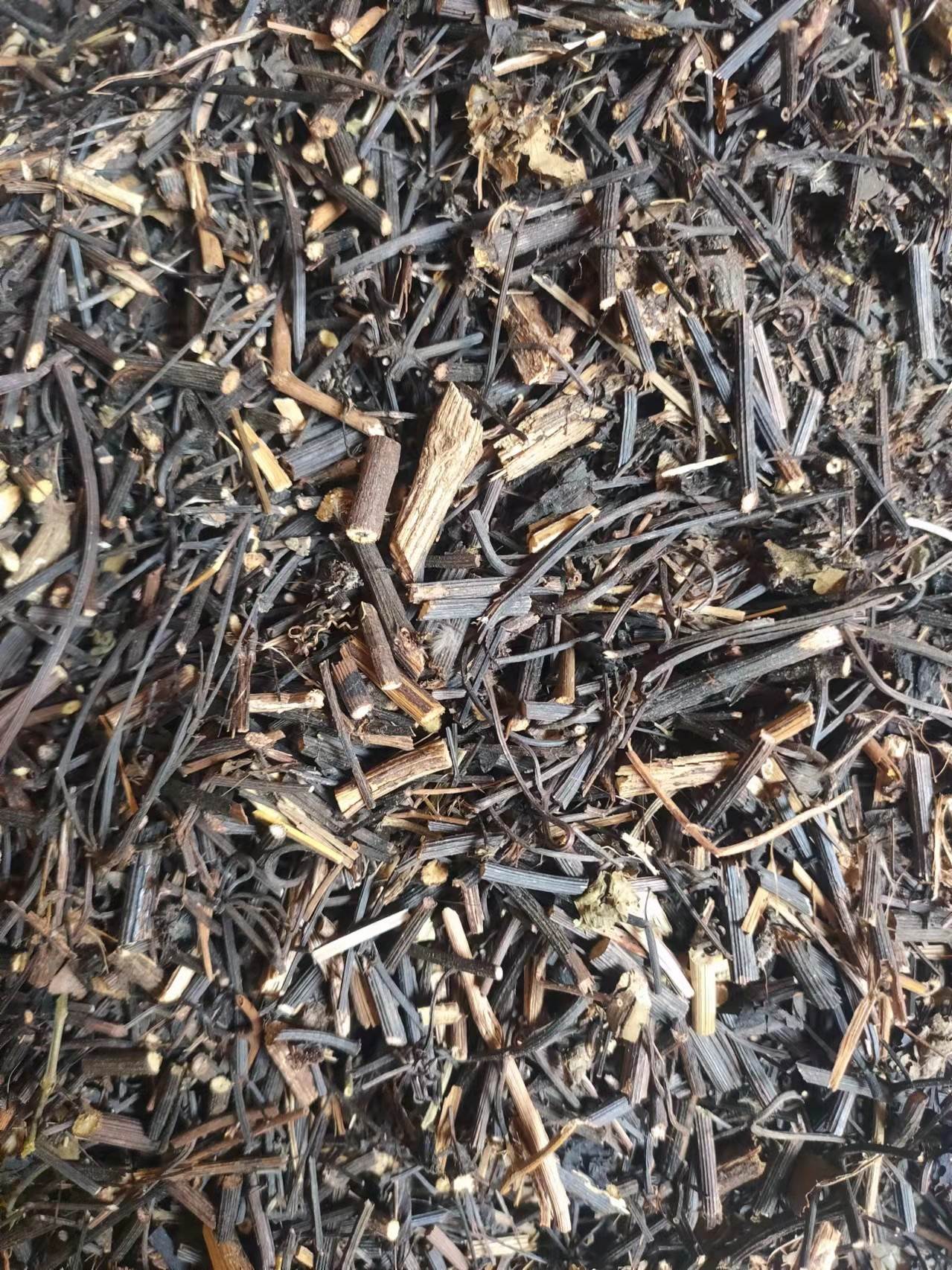 中药材铁线莲供应