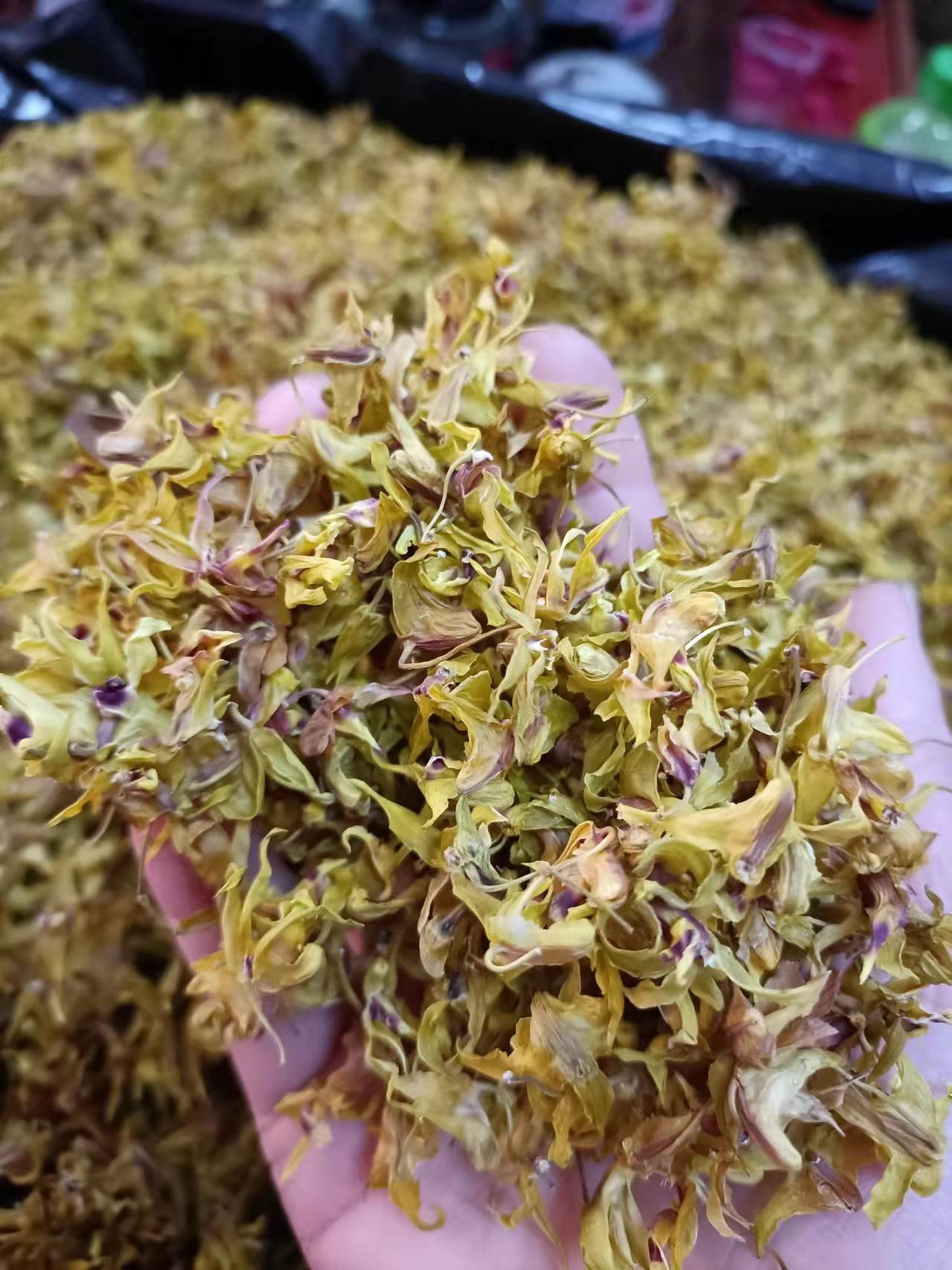 冷背药材通天草批发 通天草的作用