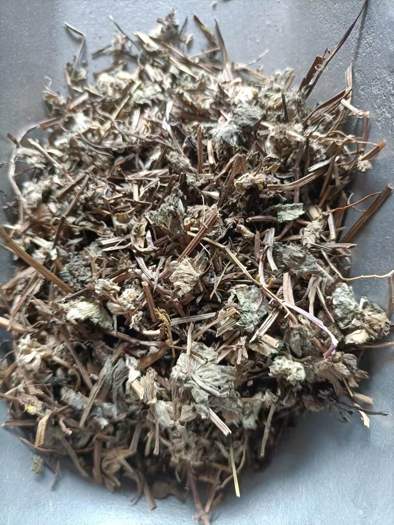 韩信草新货供应韩信草的作用