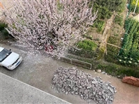 义乌墙面粉刷切砖墙价钱 义乌砖块隔断墙施工价格