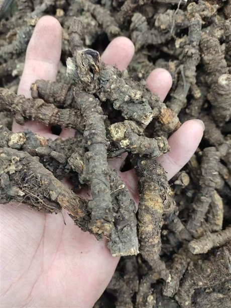 中药材批发红活麻根-搜了网