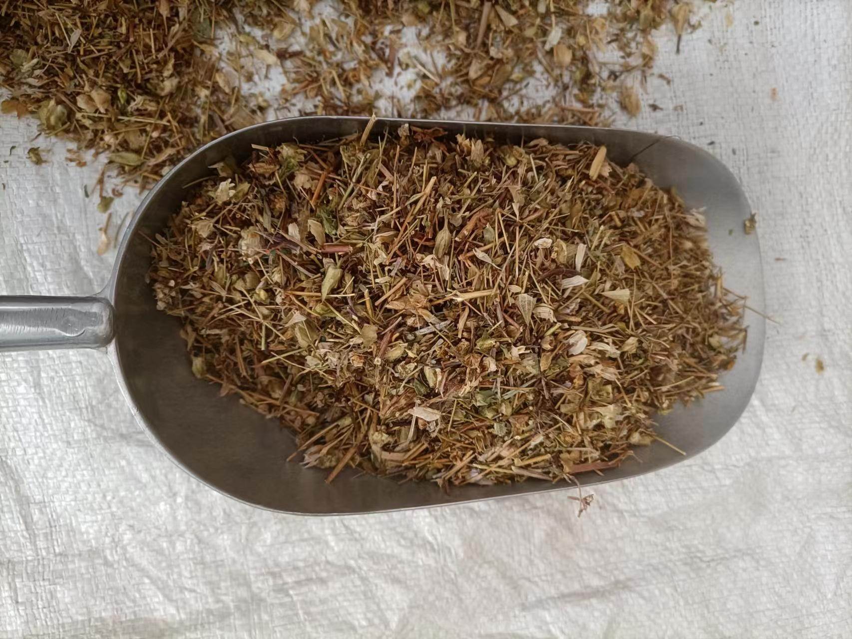 中药材市场批发千金藤根