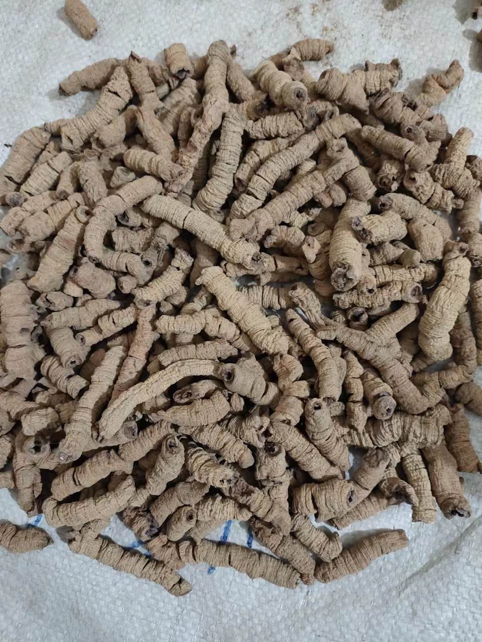 中药材批发枫荷梨