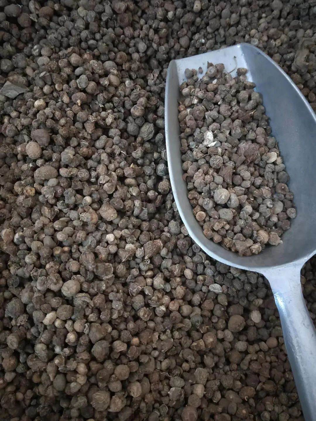 中药材市场批发一棵松