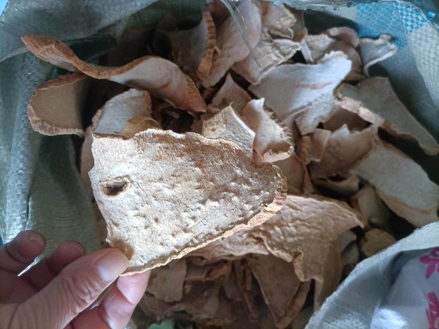 中药材市场批发千金藤根