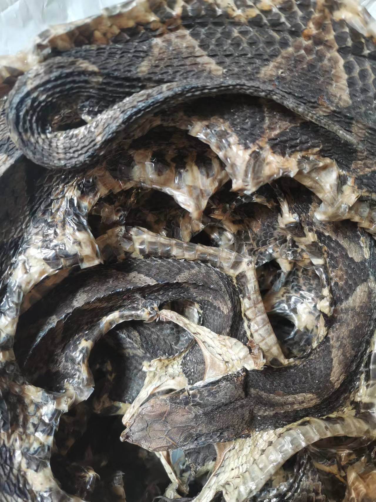 中药材批发铅丹 黄丹-搜了网