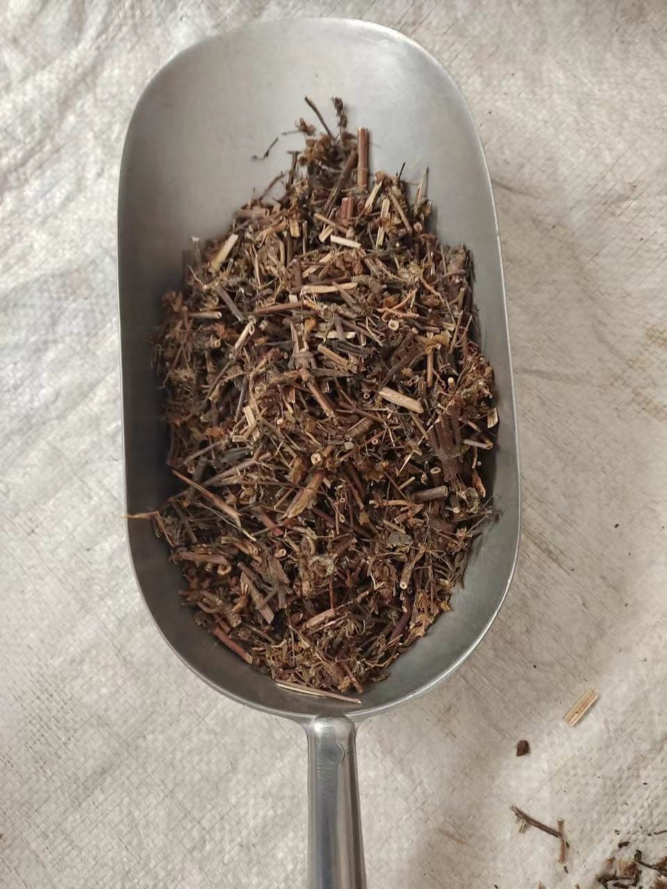 批发中药材青叶胆