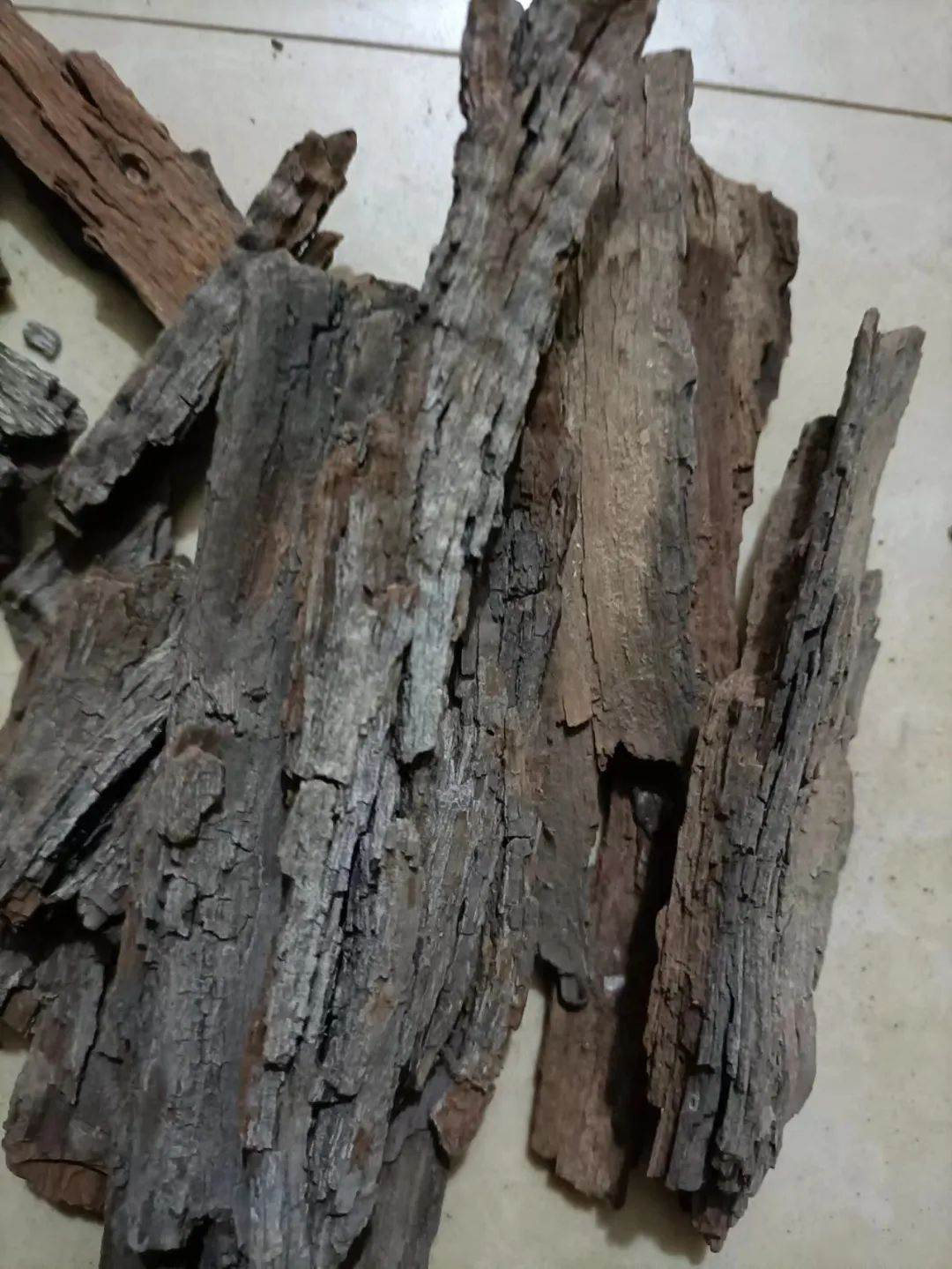 供应枣树皮老枣树皮