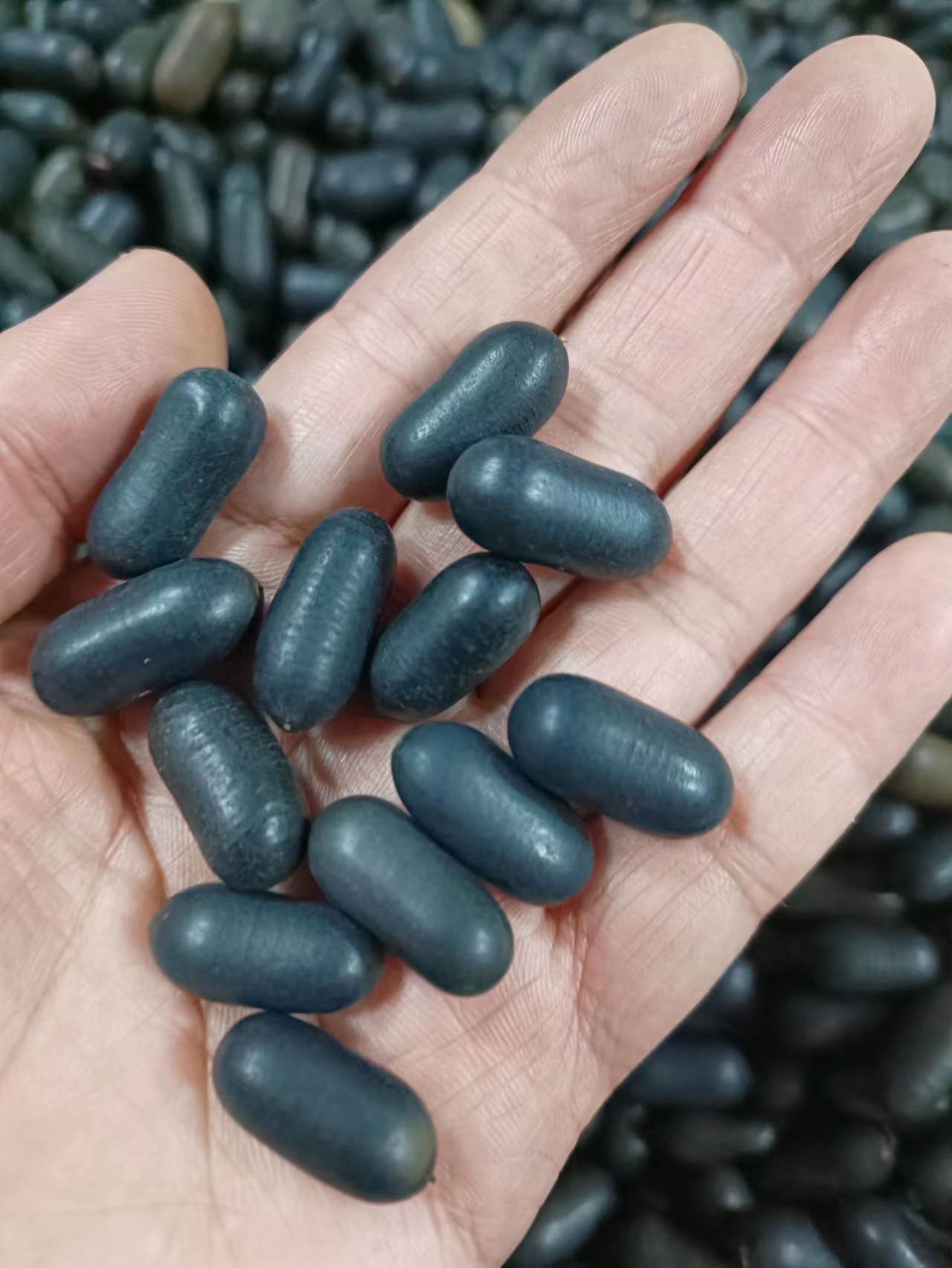 苦石莲今日价格  质量可靠   功效与作用  一件代发   一斤价格