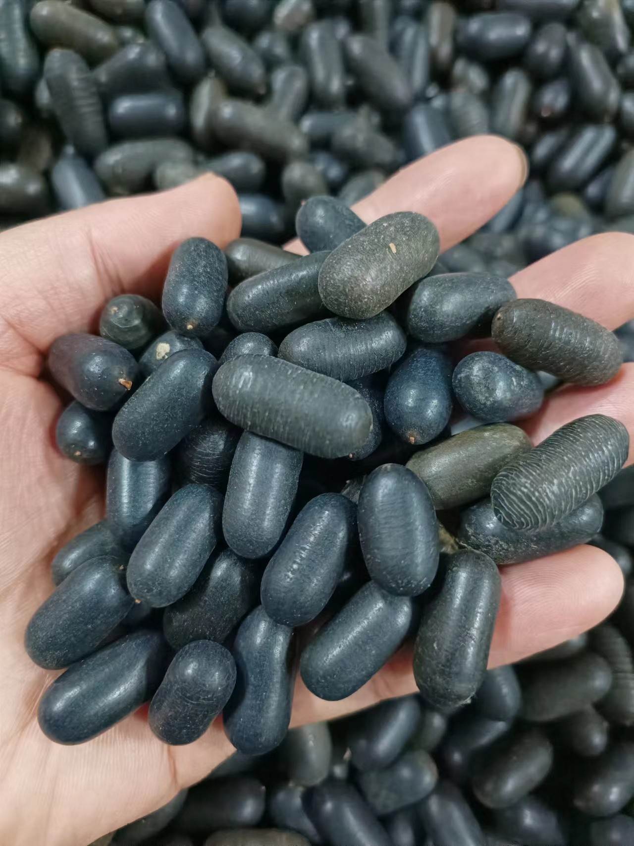 苦石莲一斤价格  质量可靠  功效与作用  今日价格   一件代发