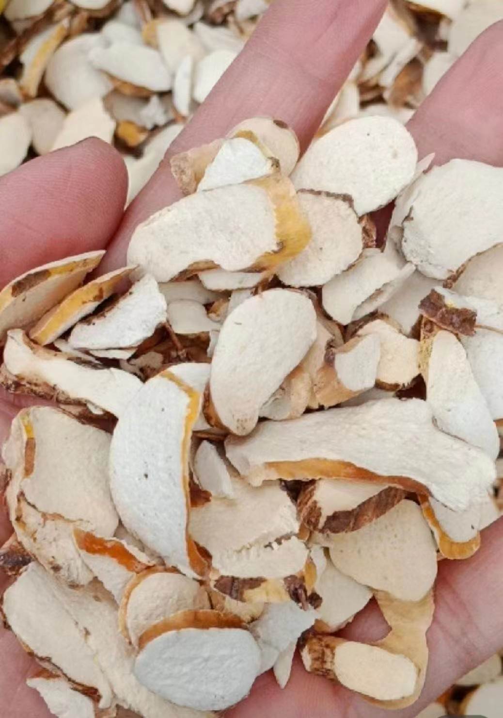 中药材穿山龙批发零售  功效与作用  质量可靠  一件代发