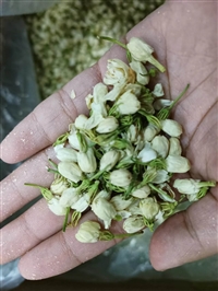 中药材茉莉花一斤价格   功效与作用  一件代发  质量可靠