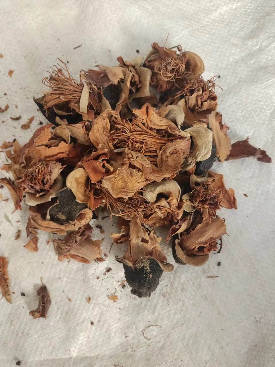 中药材批发香果