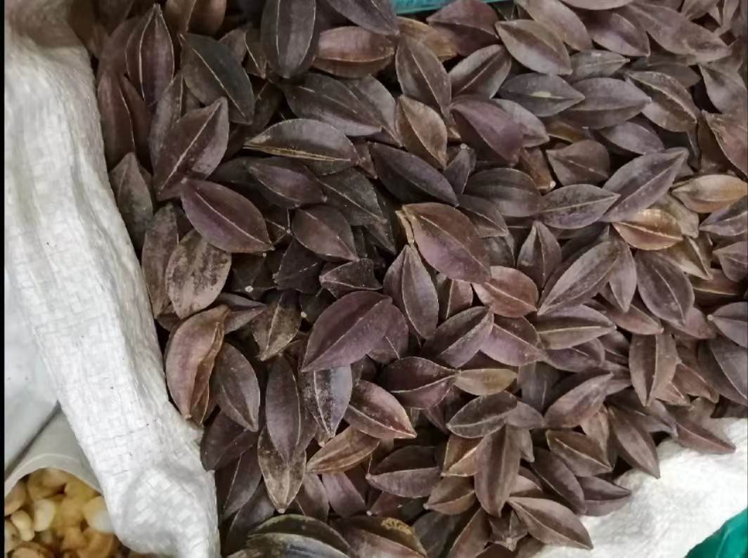 中药材使君子一斤价格  功效与作用  一件代发  质量可靠