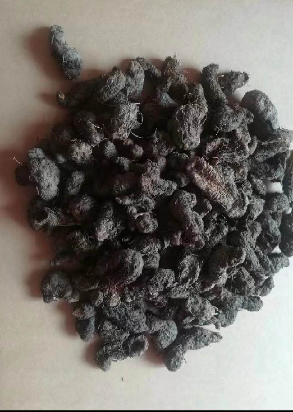 草河车中药材基地供应  功效与作用  质量可靠  今日价格 一斤价格